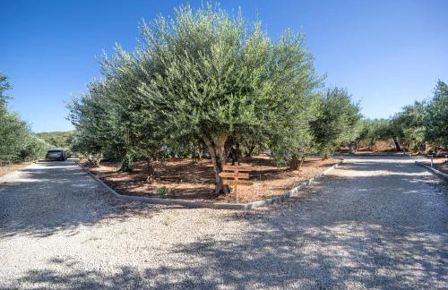 Olive Garden Villas - Foto 69