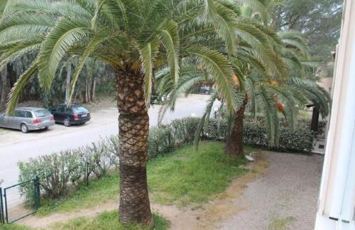 T2 Calvi entierement équipé à 150m de la plage. - Foto 6