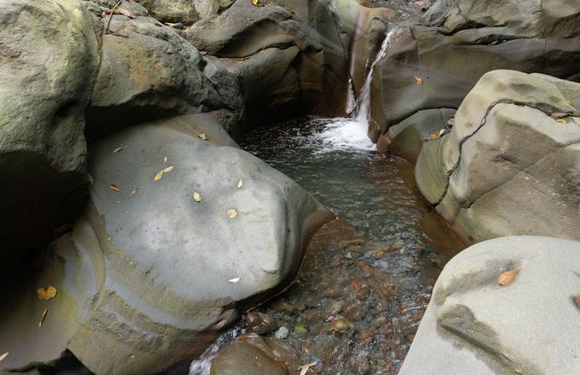 Oski Lodge - Foto 44