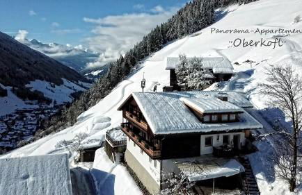 Panorama-Apartments Oberkofl - Photo 70