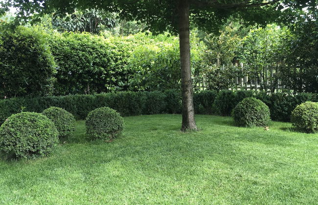 House & Garden - Foto 24