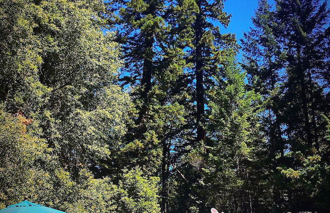 Redwoods River Resort - Foto 47