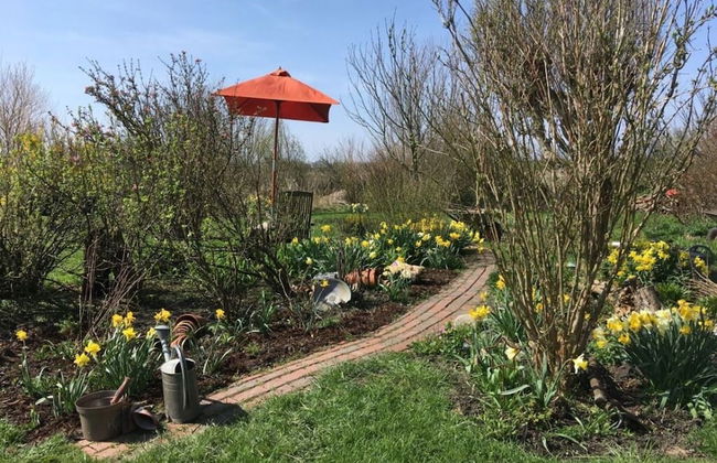 am Westerdeich Comfortable Holiday Residence - Foto 10