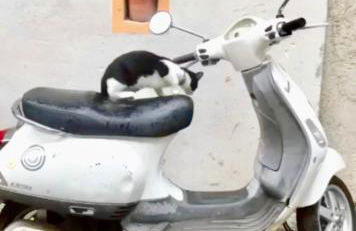 Casa Celestine in Via Orsini Isolabona Liguria Italy Sleeps 5 - Foto 33