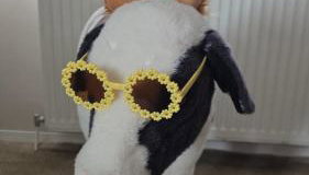 8 Berth Caravan at Blue Dolphin East coast - Foto 4