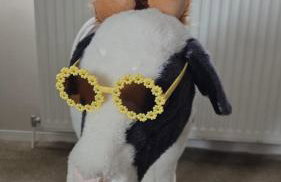 8 Berth Caravan at Blue Dolphin East coast - Foto 4