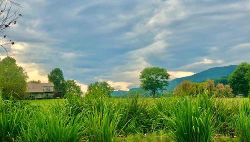 Little River Guest House at Tennessee RiverPlace - Foto 2