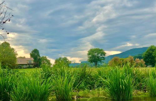 Little River Guest House at Tennessee RiverPlace - Foto 2