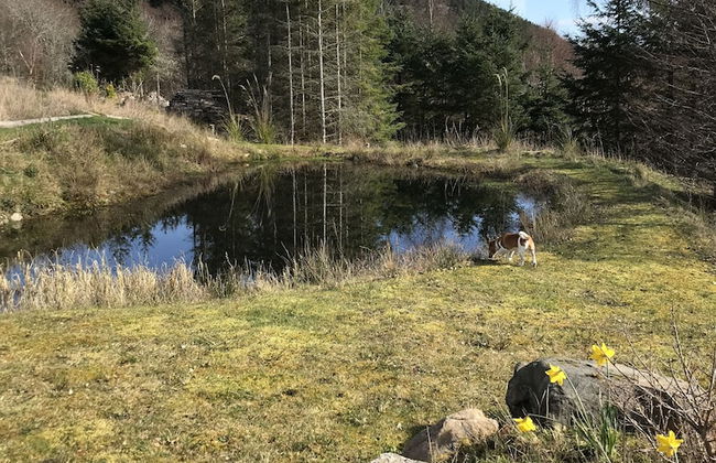 Torran View - Foto 29