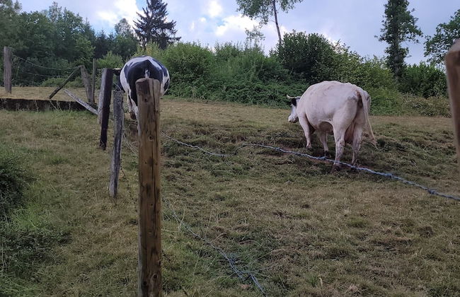 Familiehuis Dolve - Photo 56