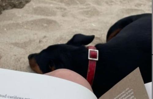 The Rianxeira - Foto 6