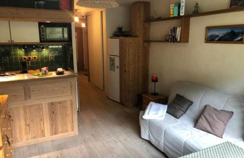 T2ideal vue imprenable sur la guisane - Photo 17