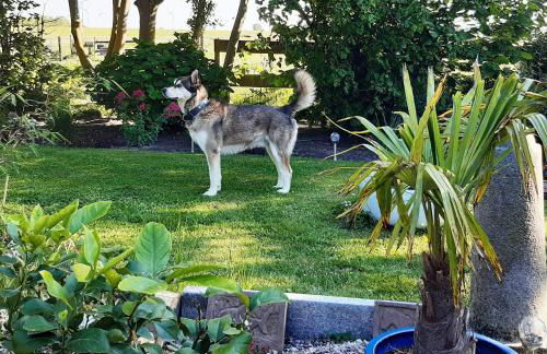 Ferienhof Reimers - Foto 11