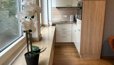 Business Apartment in Duisburg 400m weit von Hbf - Foto 5, stove