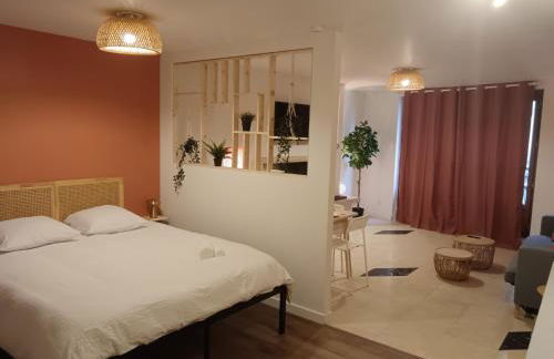 Loft - Le Terracotta - Wifi HD - Télé - Clim - Foto 9