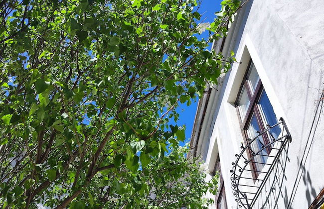 Apartament Buon Gusto Sibiu-near Small Square Old Town - Foto 18