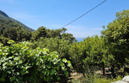 Les Terrasses du Maquis - Foto 9