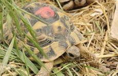 BELLE VILLA Piscine 120 m2, 8 pers, 3 belles chambres Près d'Aix-en-Provence - Foto 74