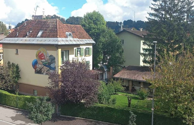 Vila Emona - Central Apartments - Free Parking - Photo 70