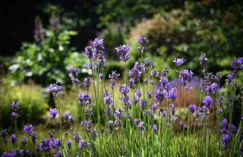 Craster Tower Coach House - Foto 36