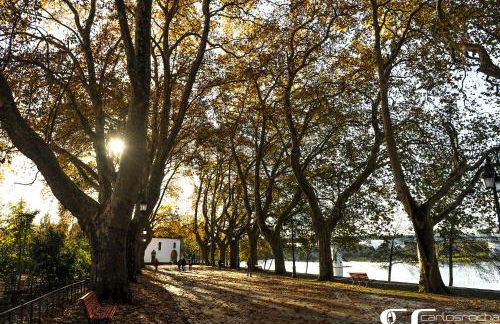 Casa da Tapada - Grupo Casas Vale do Lima - Photo 25