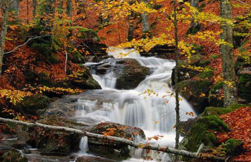 IL RIFUGIO DI GASTONE - Monte Amiata - Macinaie - - Foto 25