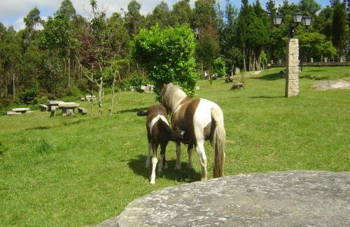 Apartamento Viveiro, Terraza Grande, 2 dormitorios 2 baños, piscinas, parking, tenis, club social - Foto 63