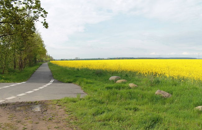 Quaint Apartment in Pepelow near Sea - Foto 30