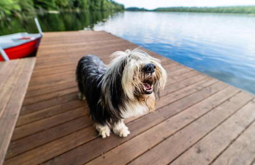 Gulbity Camp - Foto 44