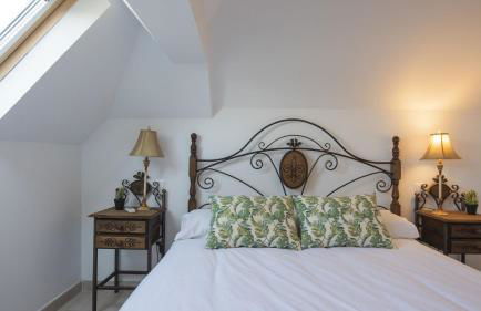 Pico Limón - Living Toledo - Foto 4