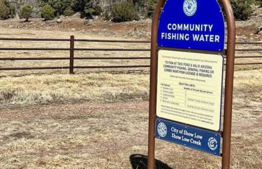 Penthouse Suite at Meadow View! - Foto 40