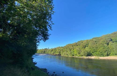 Little Rosslyn - Photo 8