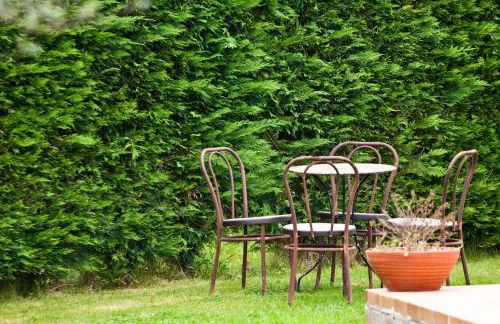 Turisme Rural - Mas Vilà - Monells - Foto 10