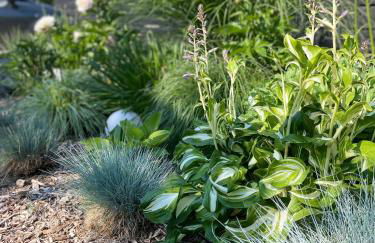 Weberhof - Münster 5 - Foto 58