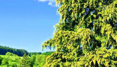 Amy's Apartment, relax and enjoy - Foto 5