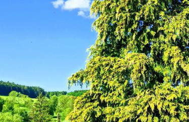 Amy's Apartment, relax and enjoy - Foto 5