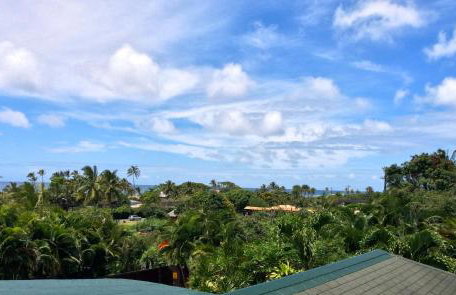 Kalani Hawaii Private Lodging - Foto 78