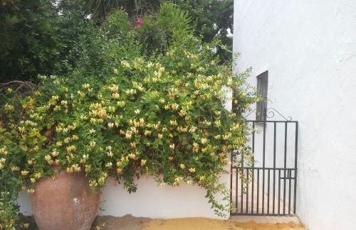 Cortijo de Vega Grande - Foto 109