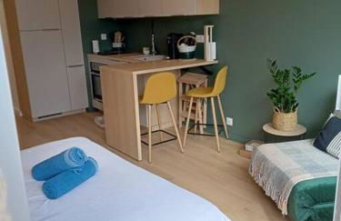 Ty Jolie Super Grand Studio avec Parking et Terrasse - Foto 4