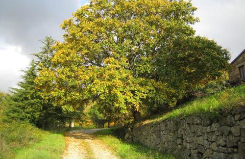 Agriturismo Le Roghete - Foto 33