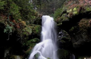 Ferienwohnung am kleinen Bärenstein 01796 Struppen OT Thürmsdorf Thürmsdorfer Str 28 - Foto 35
