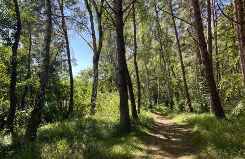 Ostseeperle - Pool, Sauna, 2 Bikes - Foto 32