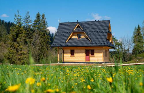 Domek Z Widokiem Na Góry - Foto 6