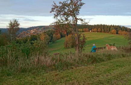 Ferienwohnung Elisabeth - Photo 33