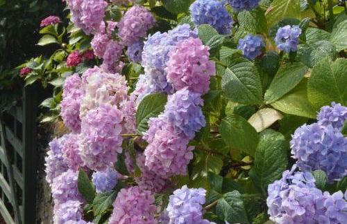 Miller's Cottage - Foto 22