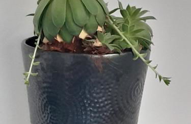 Studio Trocadero 2p coté jardin - Foto 20