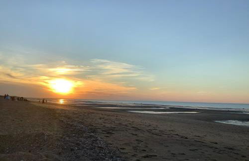 Scidesdunes - Photo 6