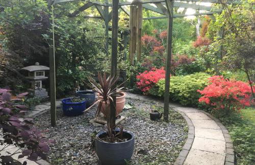 The Lavender Room - Photo 11