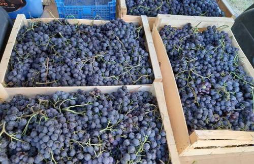 Les Jardins de Castelange - Foto 16