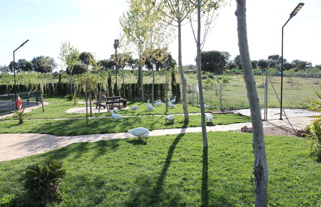 COMPLEJO RURAL LA PALOMA - Photo 57